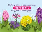 акция "Цветы милосердия"
