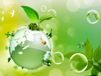 экологический урок «Экология и энергосбережение» 