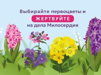 акция "Цветы милосердия"