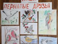 экологический час «Крылатые соседи, пернатые друзья»