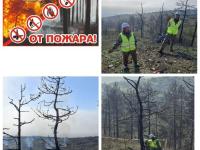 природоохранная акция «Ёлочка,живи!»