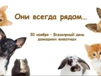 День домашних животных