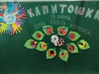Международный день божьих коровок